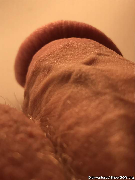 Macro Base