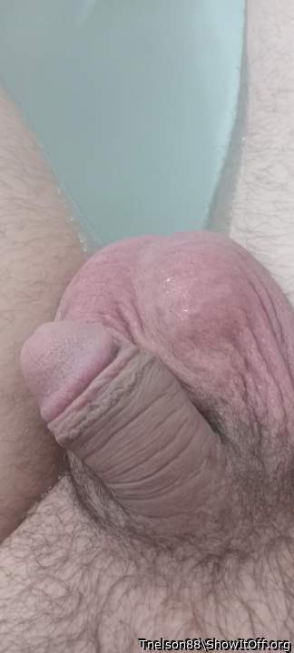 Photo of a bald-headed mouse from Tnelson88