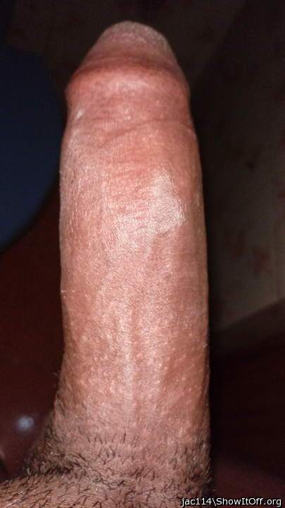 Photo of a lizard from jac114
