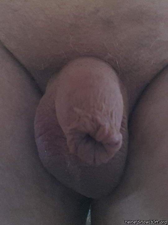 Photo of a member from heine
