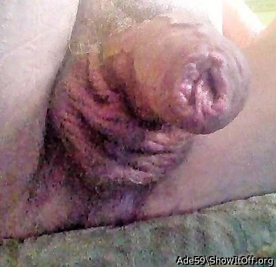 Photo of a bat from Ade59