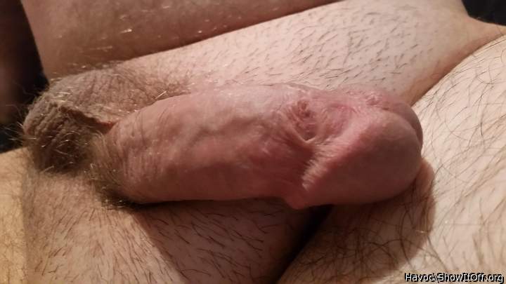 Photo of a cock from Havoc