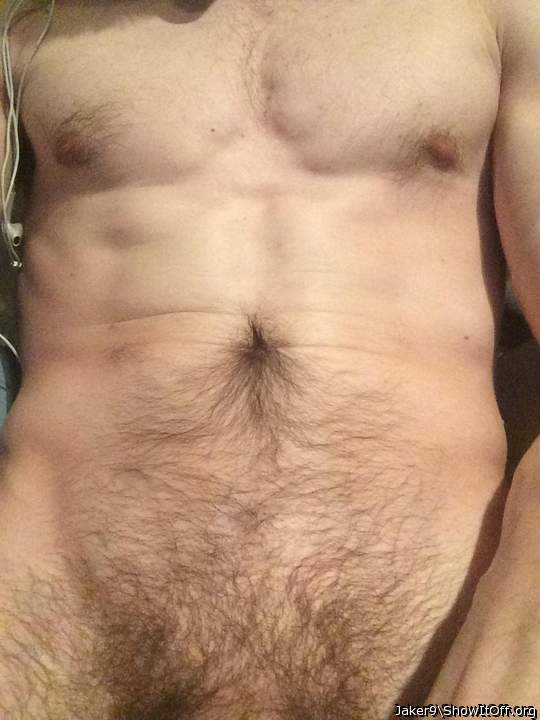 Photo of a middle leg from Jaker9