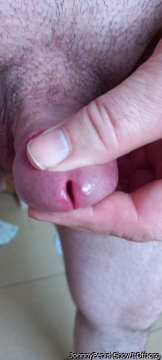 Photo of a bat from JohnnyPenis