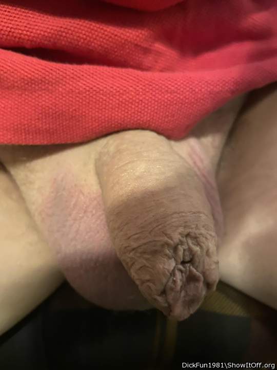 Photo of a private part from DickFun1981