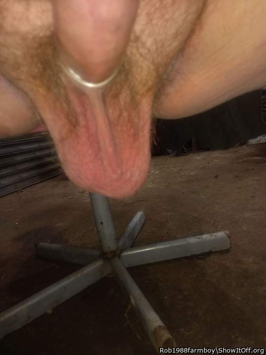 Photo of a wiener from Rob1988farmboy