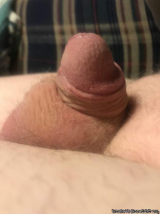 Nice little cock
