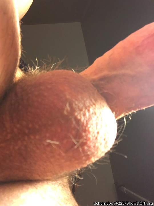 Photo of a bald-headed mouse from dchornyboy4223