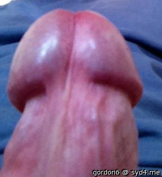 Photo of a cock from gordon6