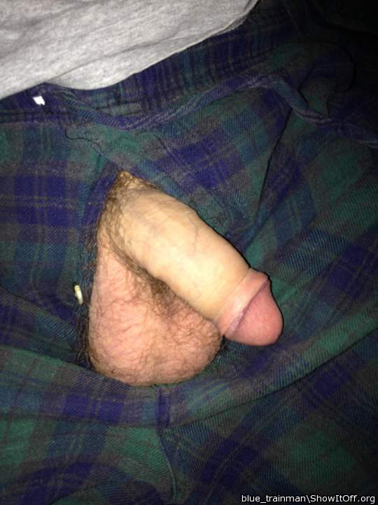 Photo of a stiffie from blue_trainman