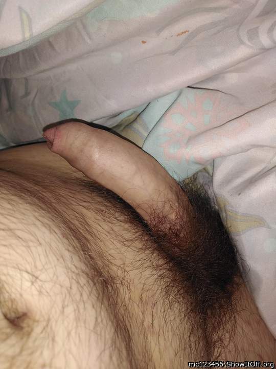 Morning Wood