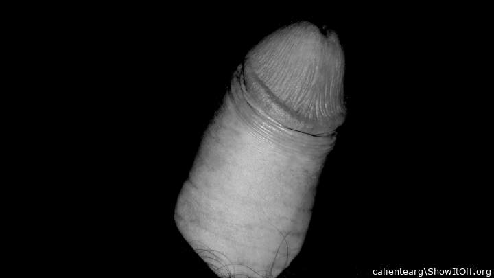 Photo of a python from calientearg