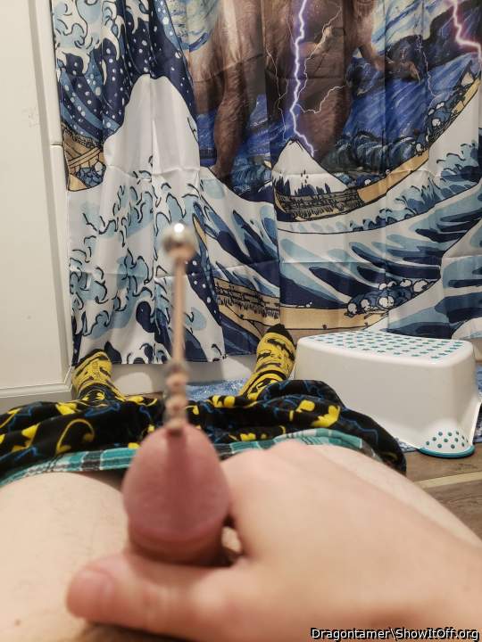 Photo of a middle leg from Dragontamer