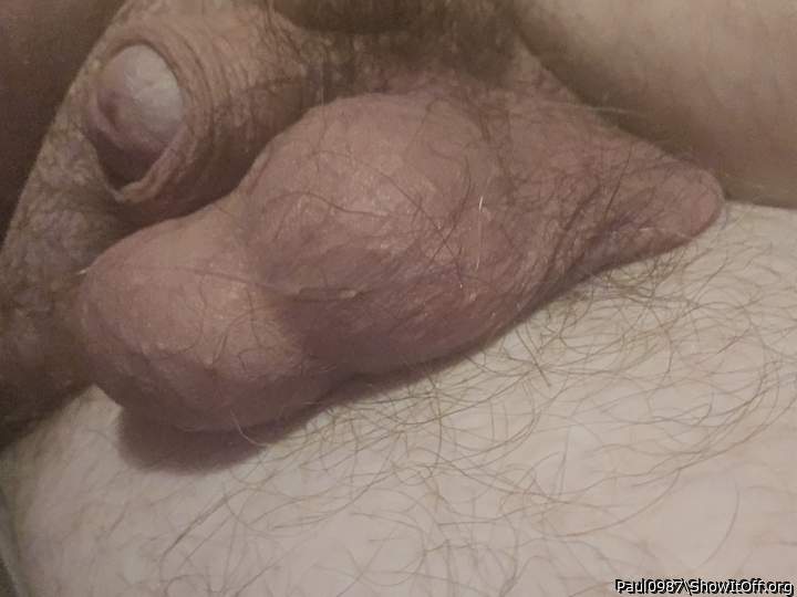 Photo of a penis from Paul0987