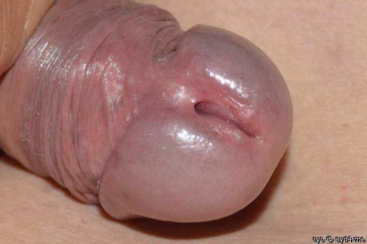 Photo of a schlong from ryo