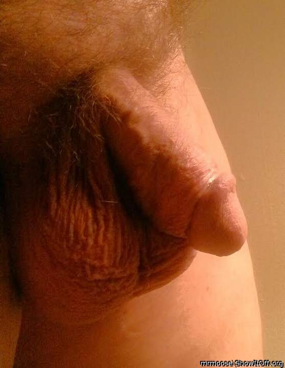 Ready for fun.