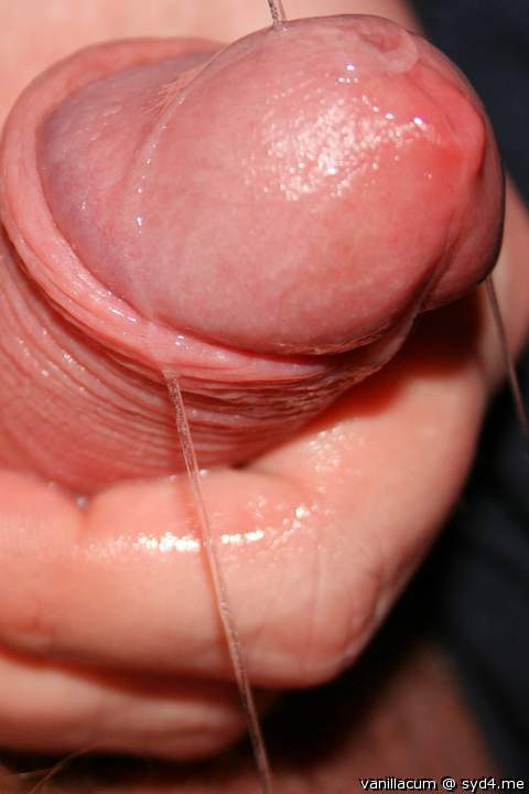 Photo of a hot dog from Vanillacum
