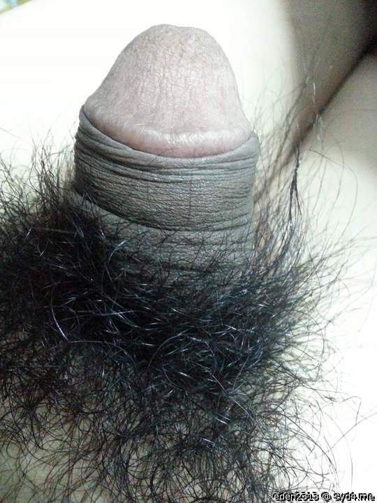 Photo of a meat stick from eden2313