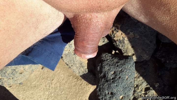 Photo of a joystick from Bertie