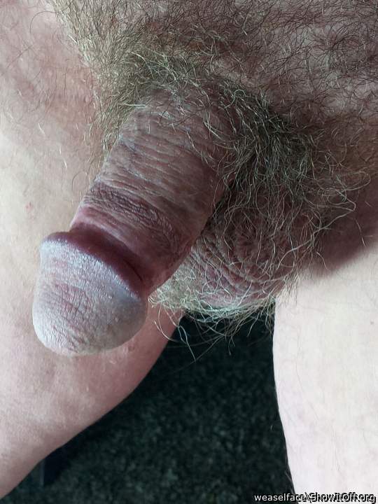 Beautiful fat dick, exciting sexy shot...VERY nice!!   