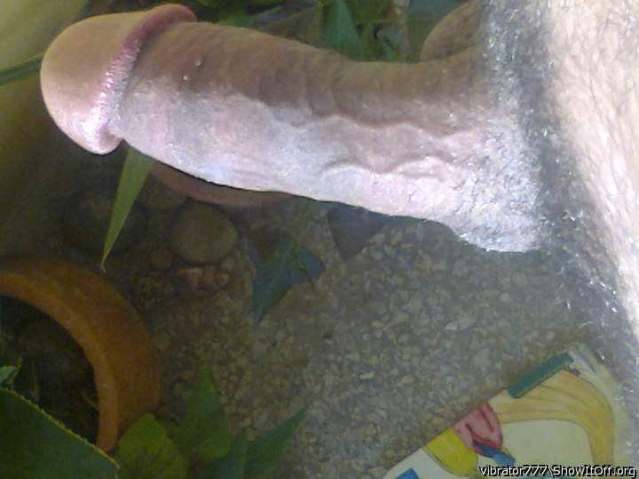 Photo of a dick from vibrator777