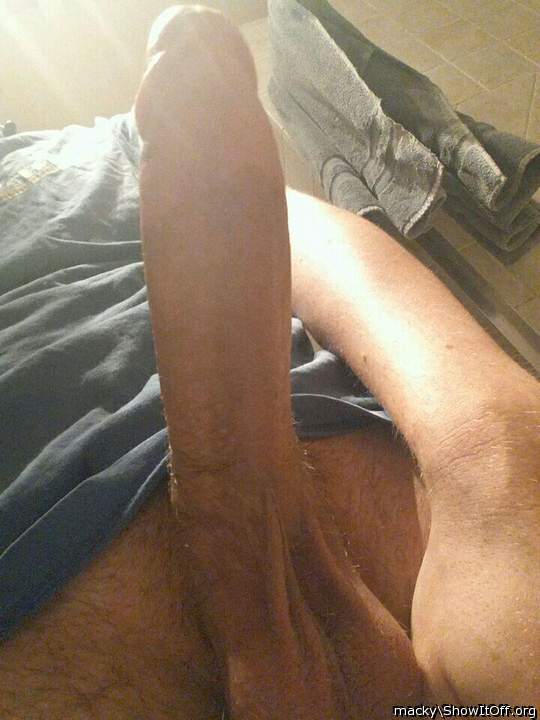 Photo of a dong from macky