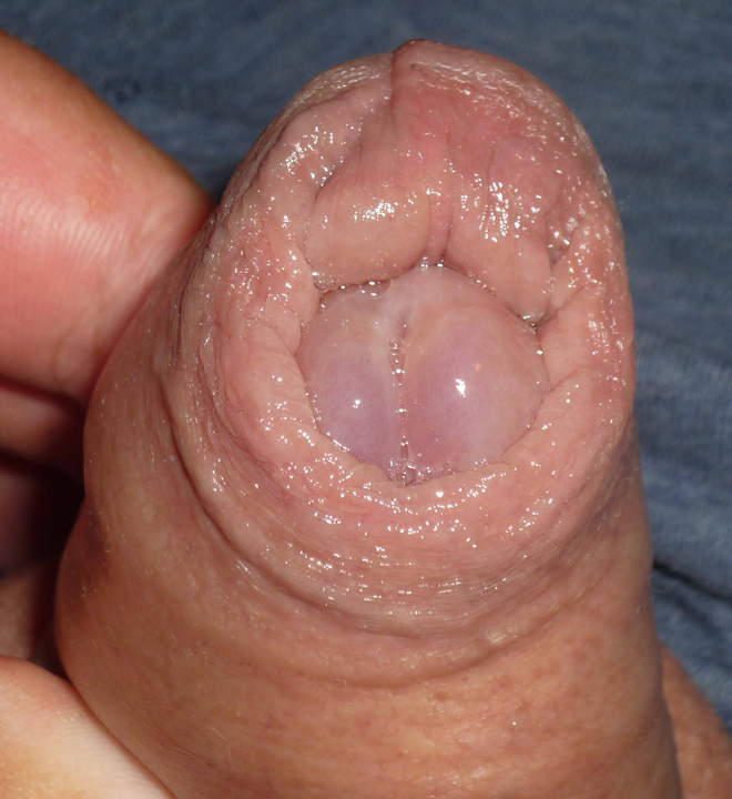 Photo of a stiffie from nylonlover