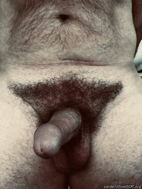 Hairy & hotny