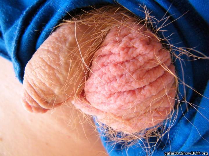 Cock and Balls
