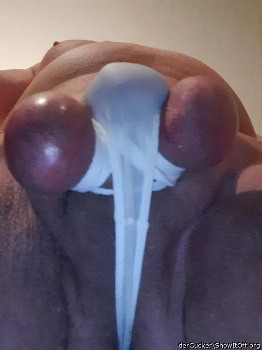 Gebunden