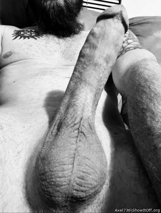 Photo of a prick from Axel736