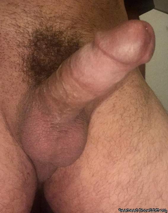 Ladies