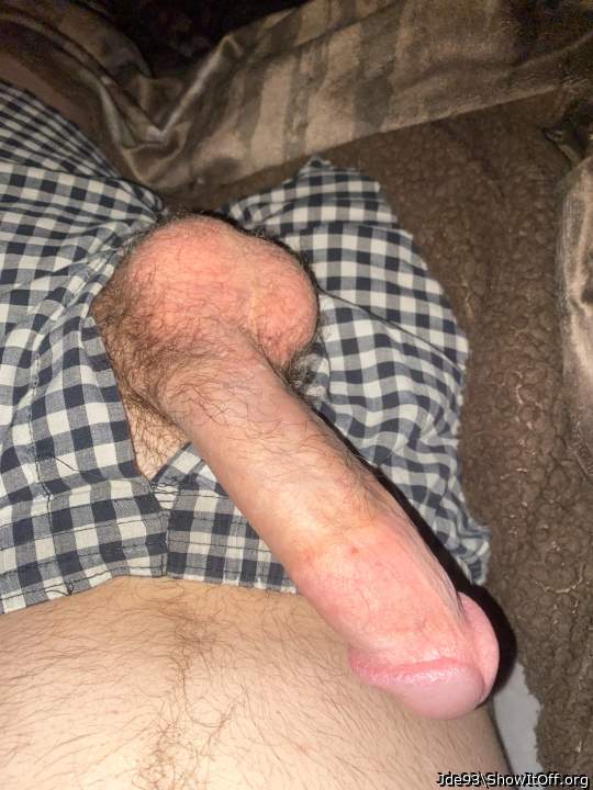 Hard cock