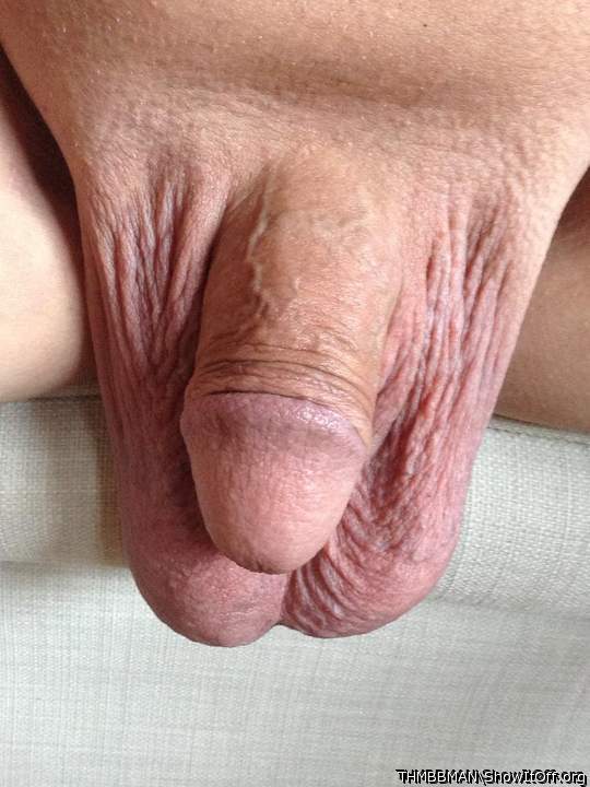 Lovely mouthful of dick and loose balls to play with  