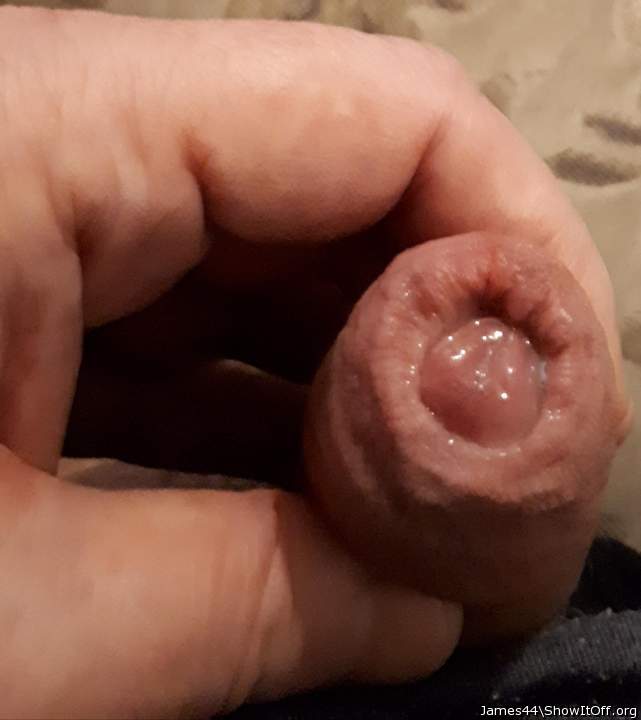 Photo of a cock from James44