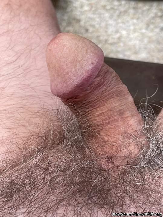 Photo of a ram rod from slow2cum