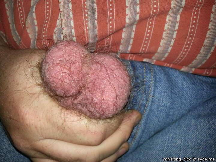 Testicles Photo from vanishing_Dick