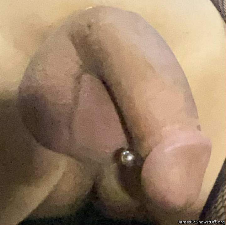 flaccid, and shaved clean.