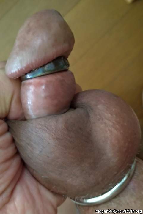 Photo of a snake from oldper69