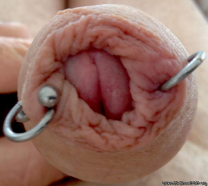 Lovely foreskin piercing     