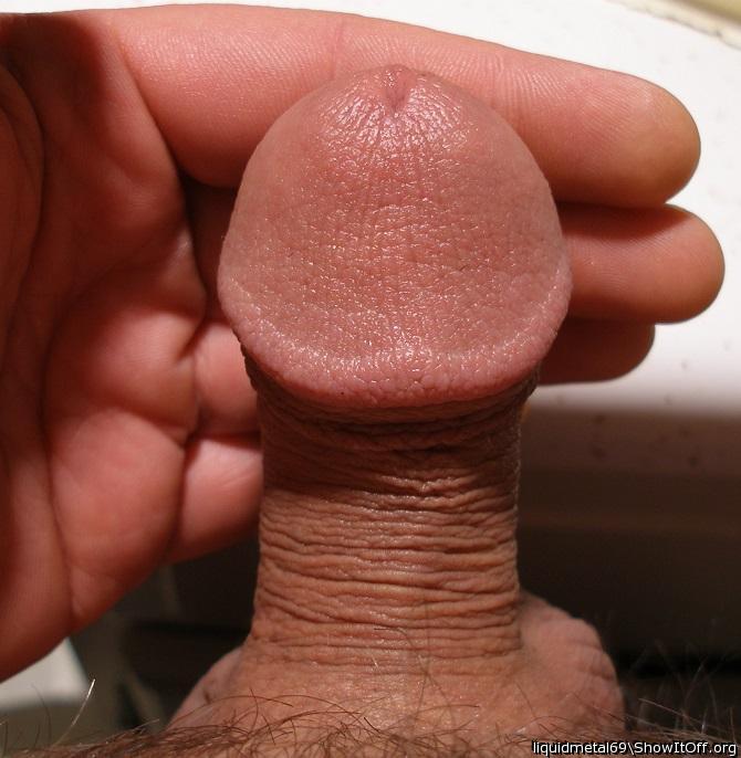 Photo of a python from liquidmetal69