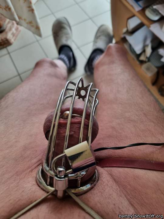 Photo of a love muscle from bamby