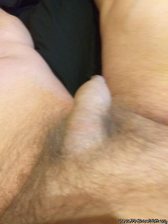 Photo of a third leg from stevie72