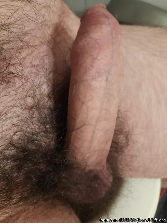 Hairy cock