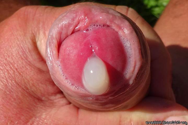 Photo of a penis from sivad666