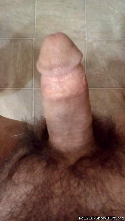 Photo of a dick from PA1216