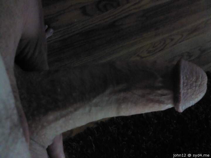 Photo of a lizard from john12