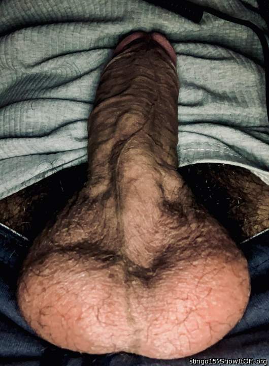 Photo of a member from stingo15