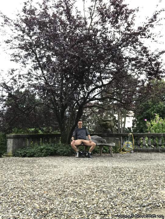 Photo of a prick from corona7