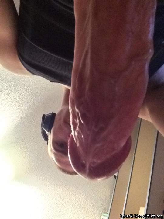Photo of a horn from Jaker9